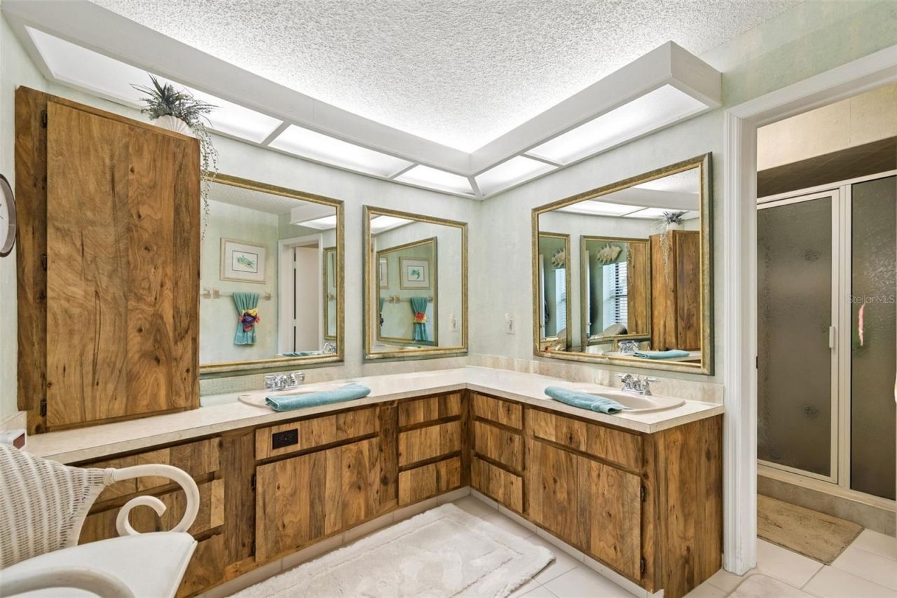 2364 Violet Pl, Palm Harbor, FL 34685 Photo