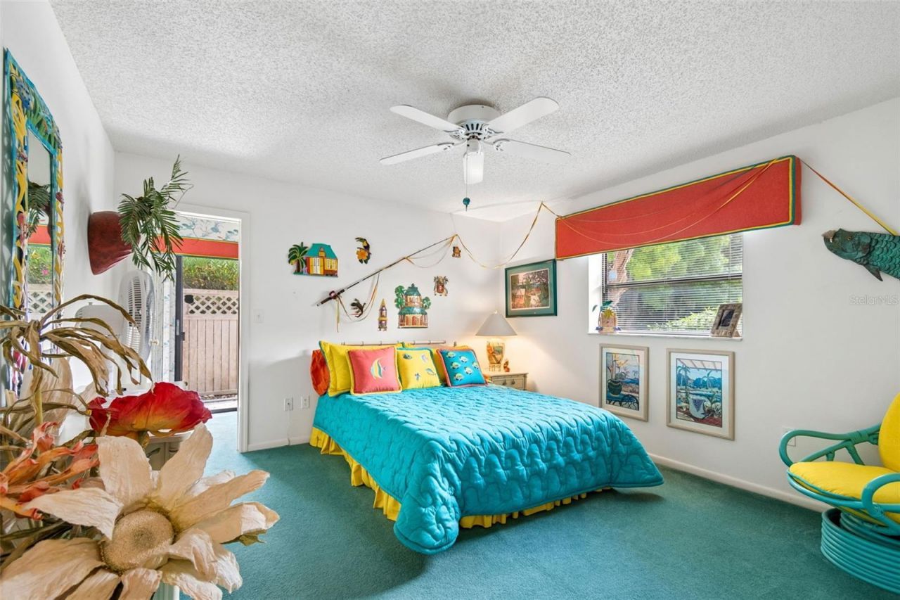 2364 Violet Pl, Palm Harbor, FL 34685 Photo