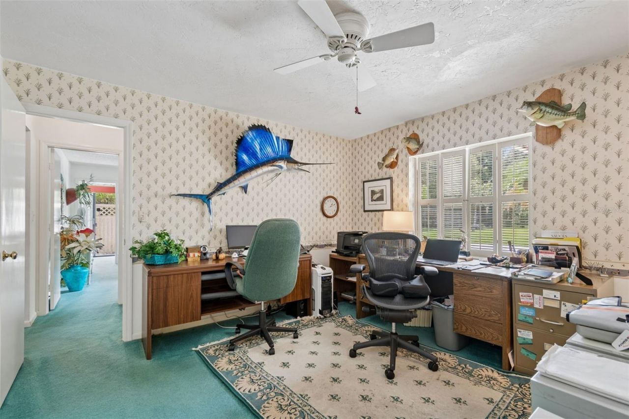 2364 Violet Pl, Palm Harbor, FL 34685 Photo