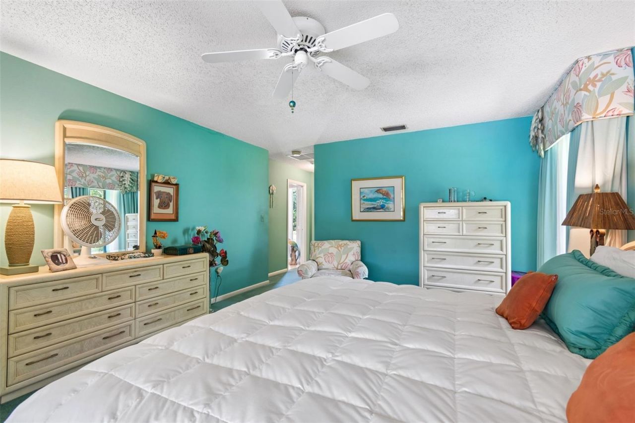 2364 Violet Pl, Palm Harbor, FL 34685 Photo