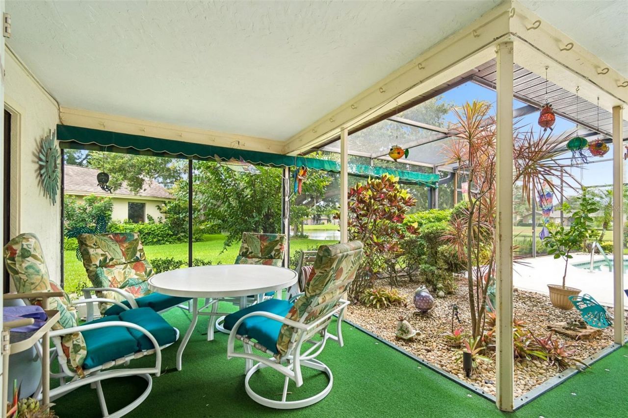 2364 Violet Pl, Palm Harbor, FL 34685 Photo