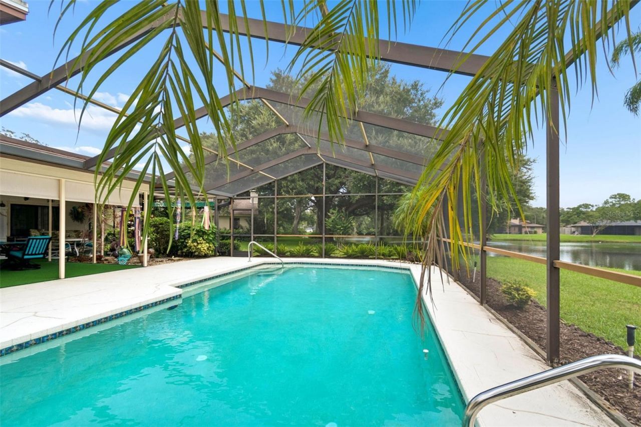 2364 Violet Pl, Palm Harbor, FL 34685 Photo