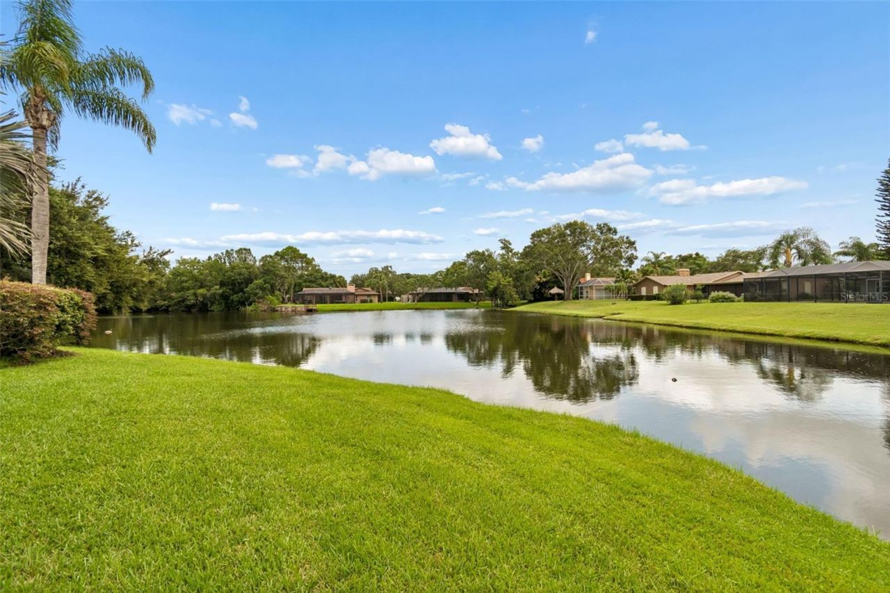2364 Violet Pl, Palm Harbor, FL 34685 Photo