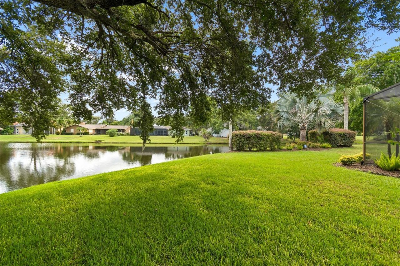 2364 Violet Pl, Palm Harbor, FL 34685 Photo