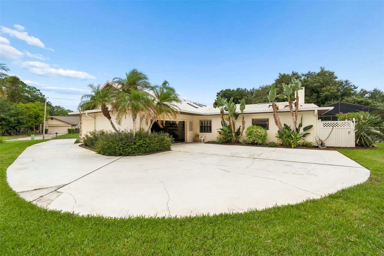 2364 Violet Pl, Palm Harbor, FL 34685 Photo