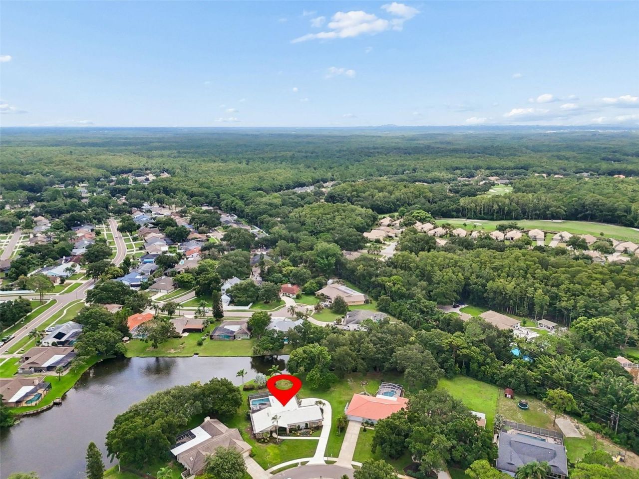 2364 Violet Pl, Palm Harbor, FL 34685 Photo