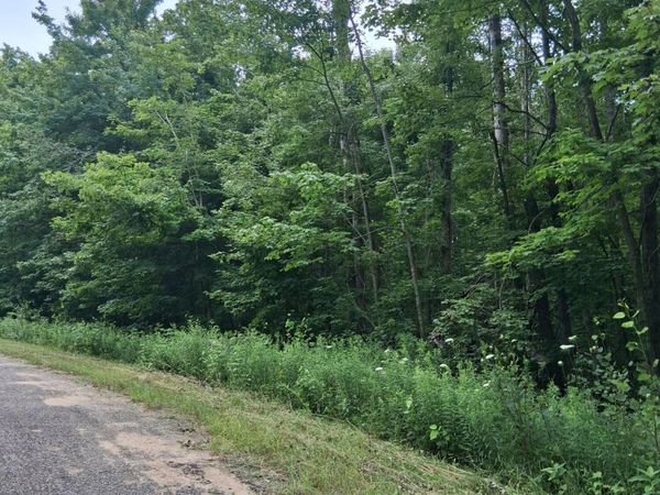 Norway Drive, Elmira, MI 49730