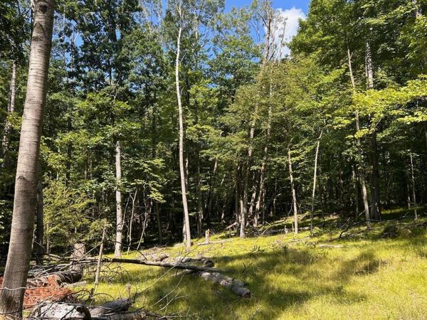 11992 Cheyenne Wells Trail, Canadian Lakes, MI 49346