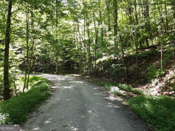 0 Bald Eagle Path, Cleveland, GA 30528