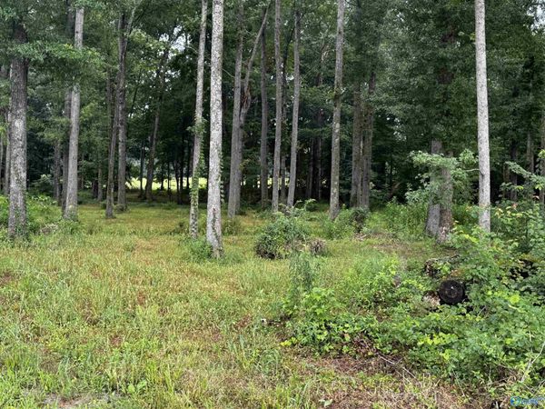 7AC Oakley Chapel Road, New Market, AL 35761