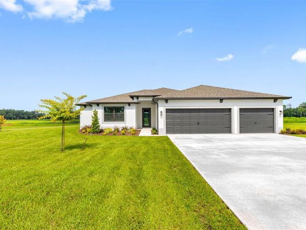 13483 LAKE GALLAGHER DRIVE , DOVER, FL 33527