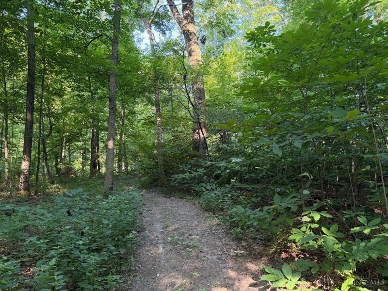 ac Hatt-Swank Road, Maineville, OH 45140 Photo 10
