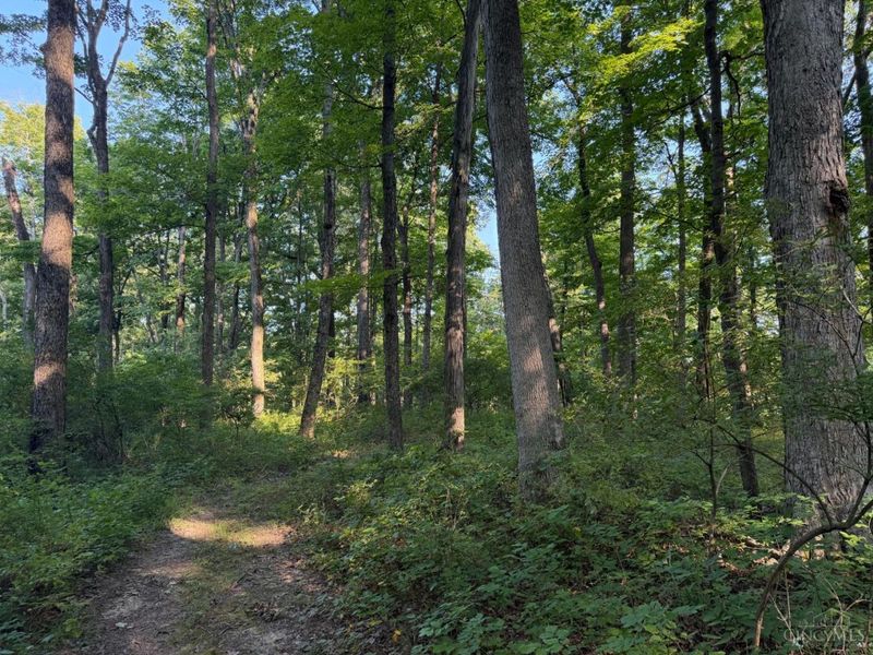 ac Hatt-Swank Road, Maineville, OH 45140 Photo 12