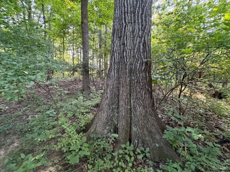 ac Hatt-Swank Road, Maineville, OH 45140 Photo 13