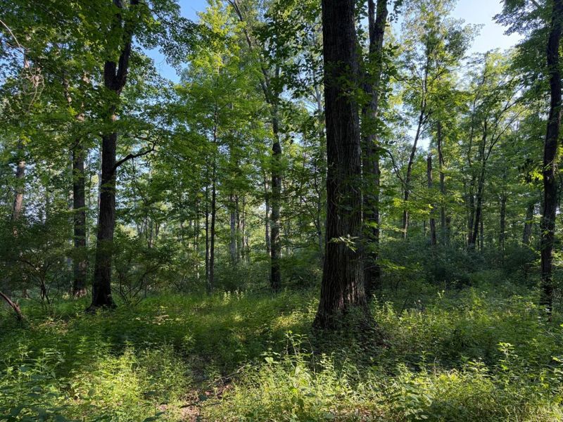 ac Hatt-Swank Road, Maineville, OH 45140 Photo 16