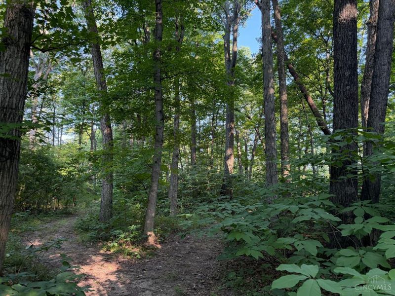 ac Hatt-Swank Road, Maineville, OH 45140 Photo 17