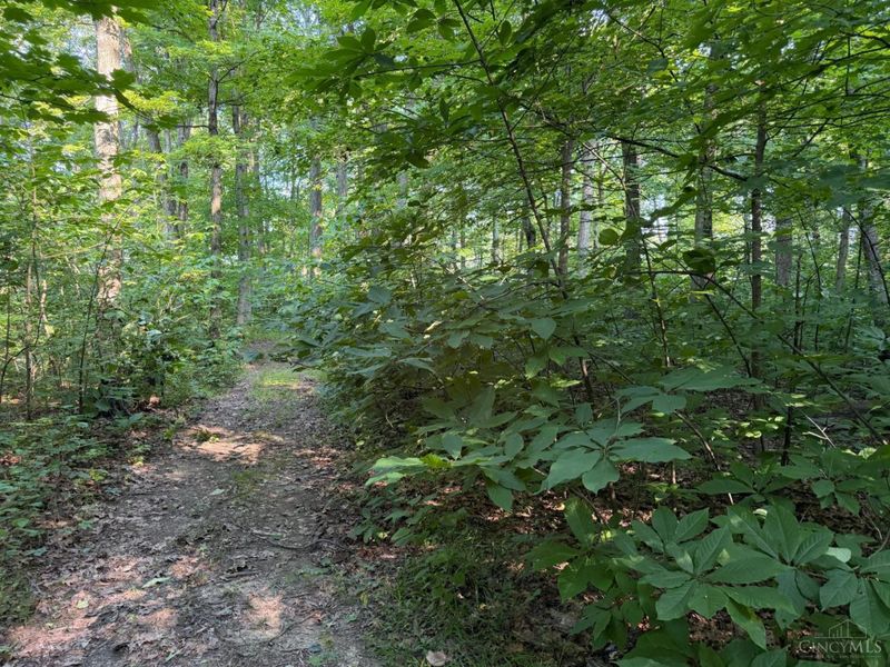 ac Hatt-Swank Road, Maineville, OH 45140 Photo 18