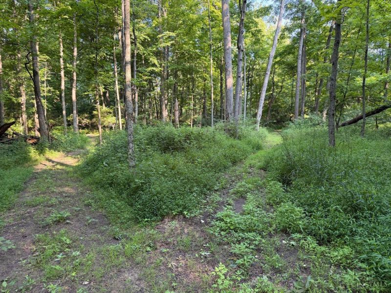 ac Hatt-Swank Road, Maineville, OH 45140 Photo 19