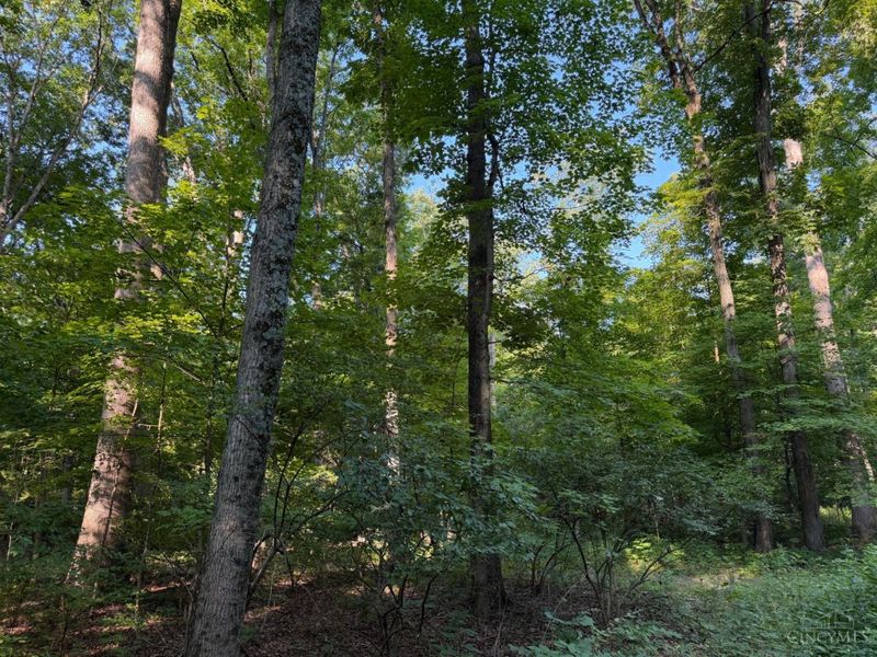 ac Hatt-Swank Road, Maineville, OH 45140 Photo 20