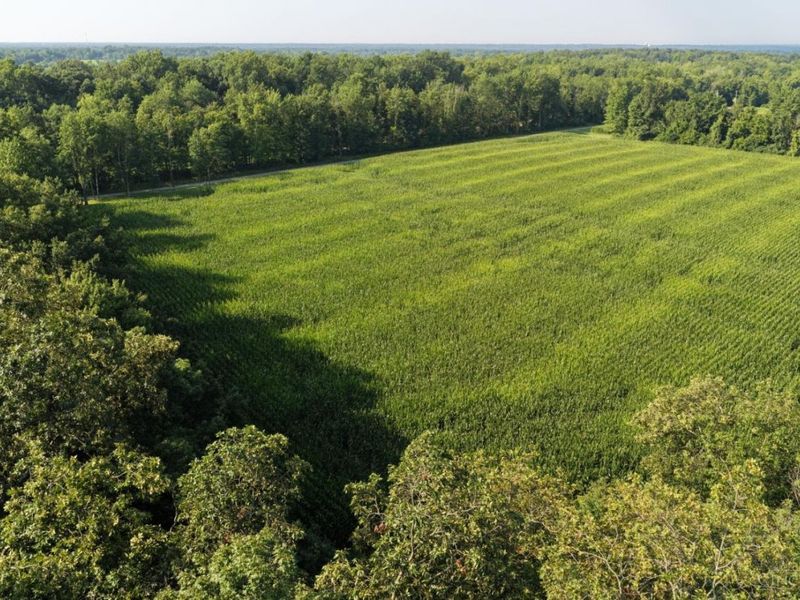 ac Hatt-Swank Road, Maineville, OH 45140 Photo 22