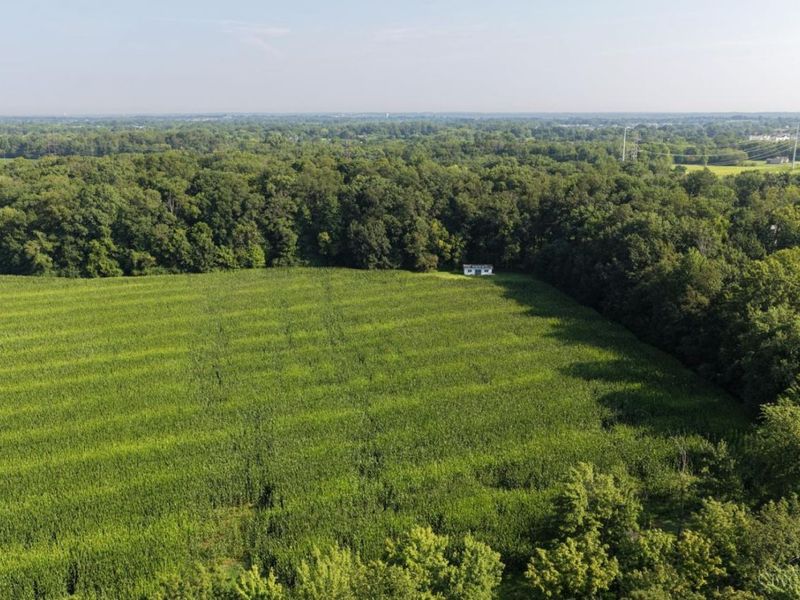 ac Hatt-Swank Road, Maineville, OH 45140 Photo 5