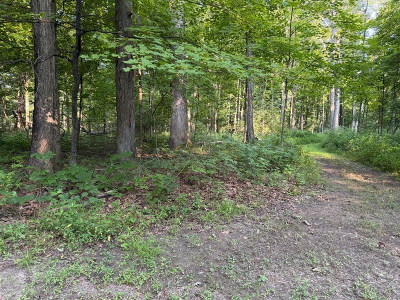 ac Hatt-Swank Road, Maineville, OH 45140 Photo 7