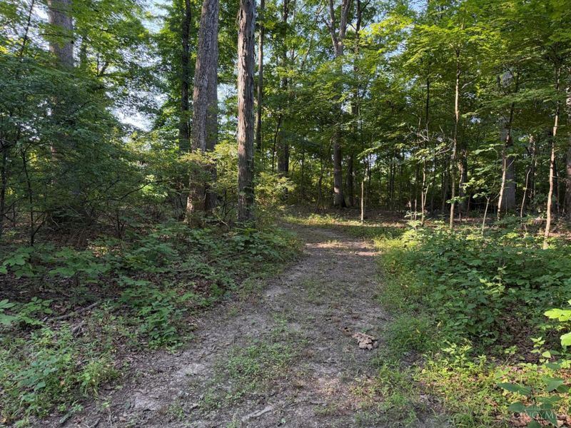 ac Hatt-Swank Road, Maineville, OH 45140 Photo 9