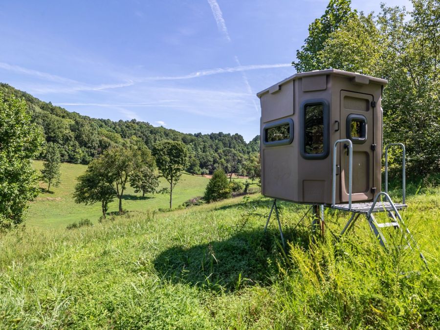 Property Image 34