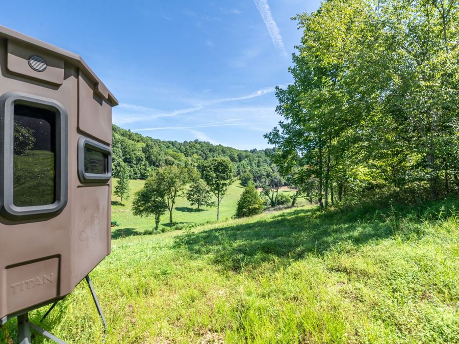 Property Image 35