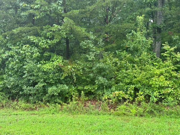 0 Lhasa Apso Lane , Iron Station, NC 28080