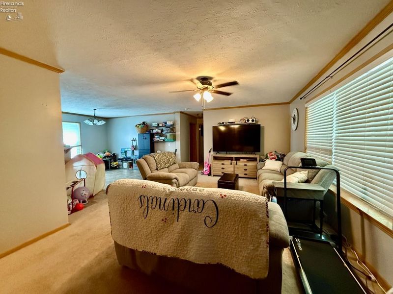 410 DAVID Street, Bettsville, OH 44815 Photo 16