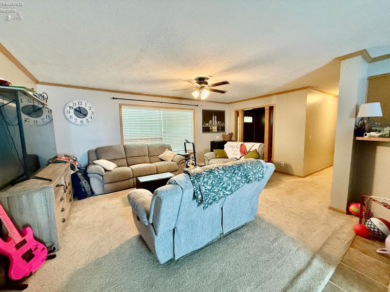 410 DAVID Street, Bettsville, OH 44815 Photo 3