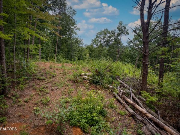 Lot 2 Verless Ogle Rd, Sevierville, TN 37876