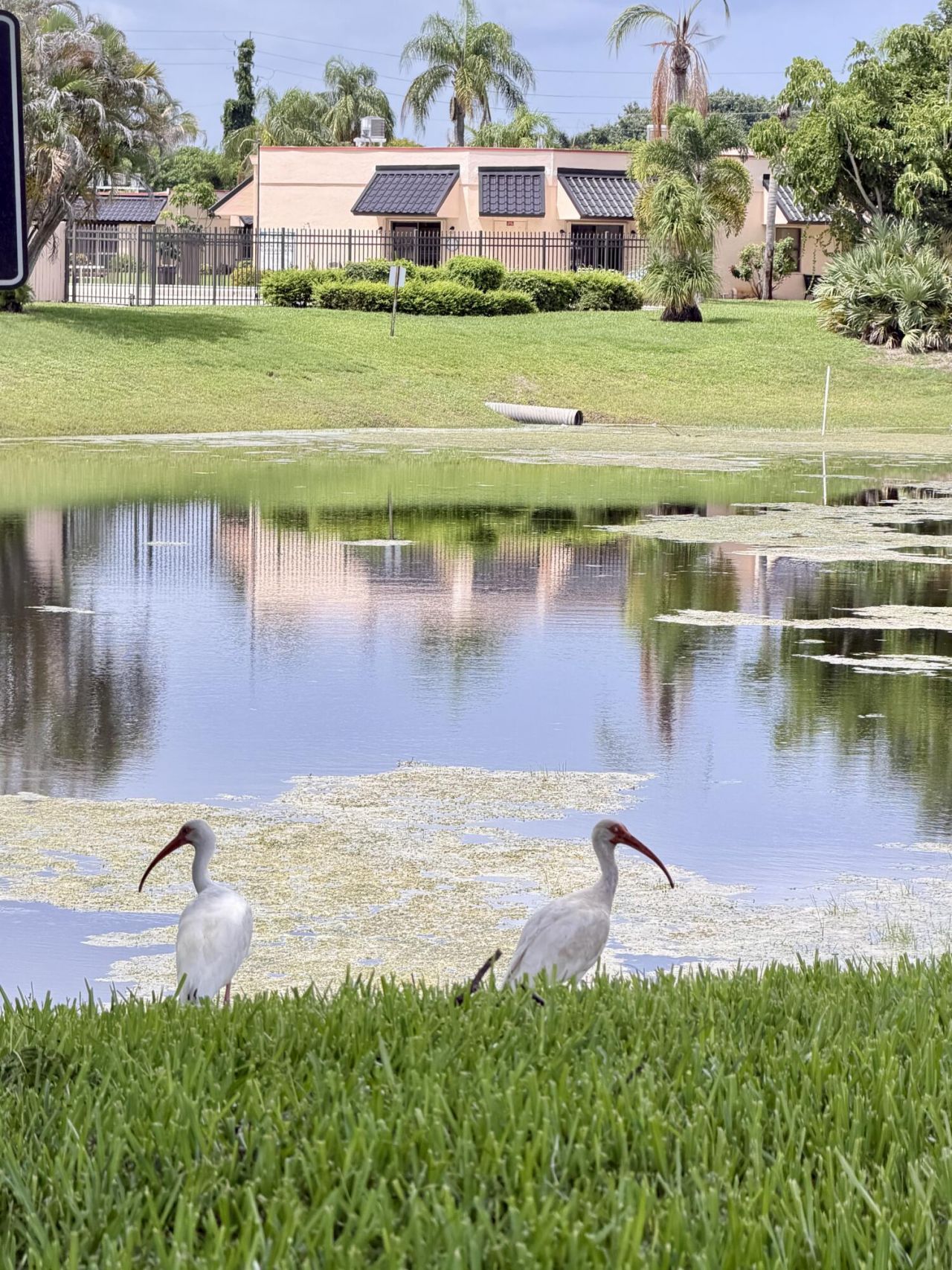 1901 NE Collins Circle, Unit 9-10, Jensen Beach, FL 34957 Photo