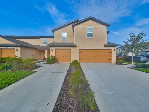 5311 NEW FRIENDSHIP PLACE , TAMPA, FL 33619