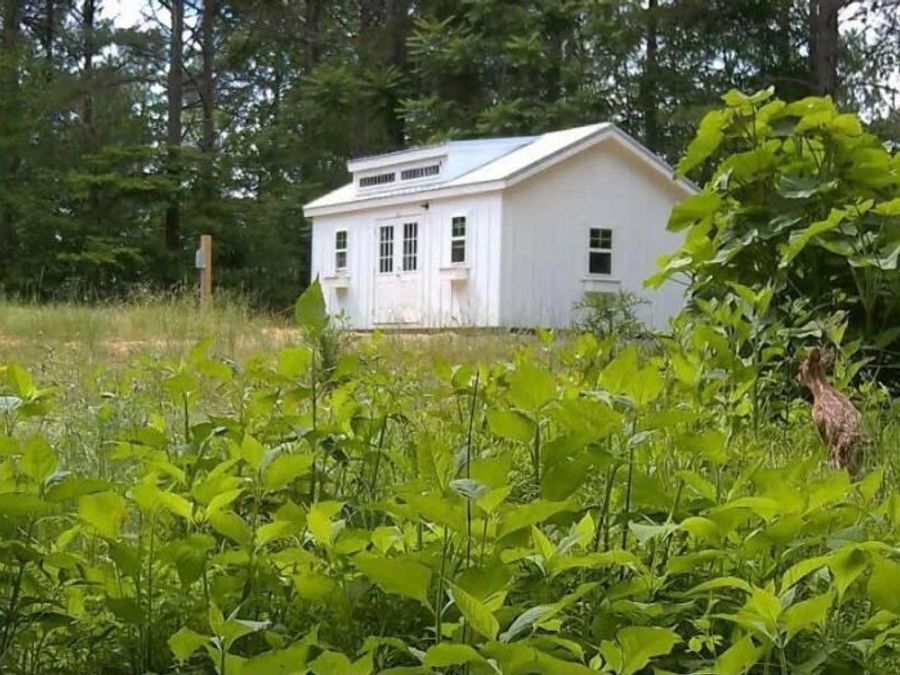 Property Image 12
