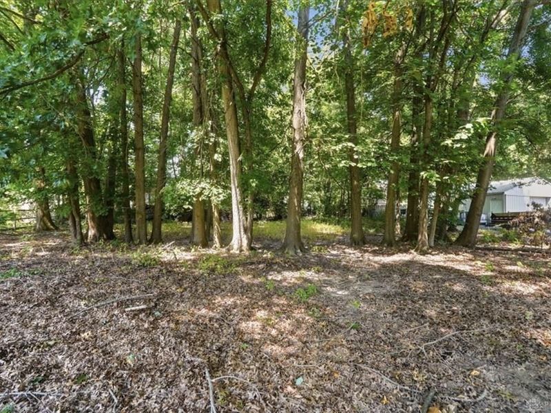 69 Wolfer Drive, Amelia, OH 45102 Photo 40