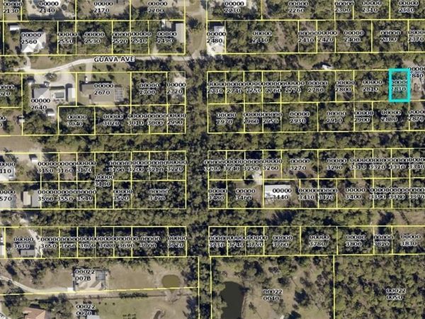 Guava AVE , BOKEELIA, FL 33922