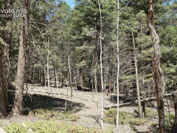 616 Indian Creek Road, Florissant, CO 80816