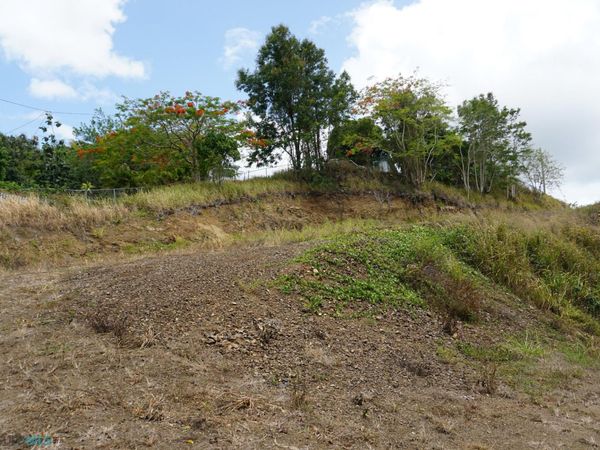730 CLL DOÑA LOLA, Cayey, PR 00692