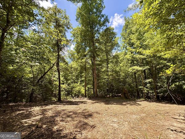 2 Roy Lawrence Road, Sparta, GA 31087