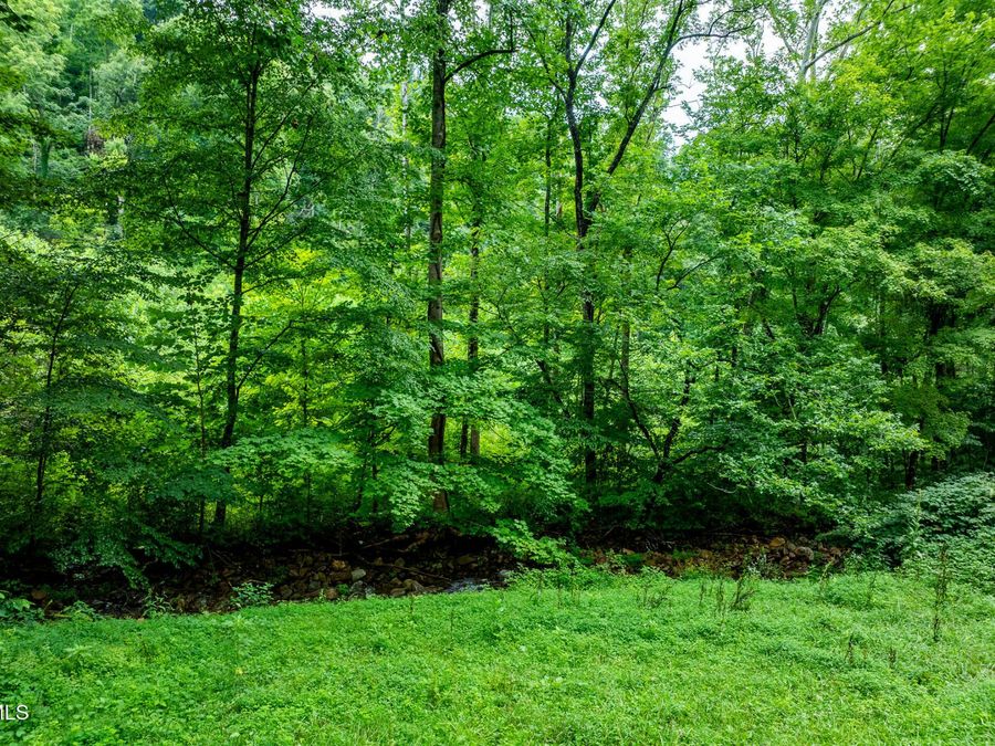 Property Image 68