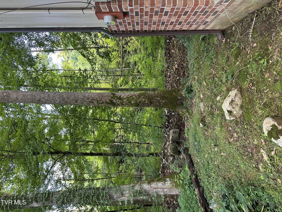Property Image 90