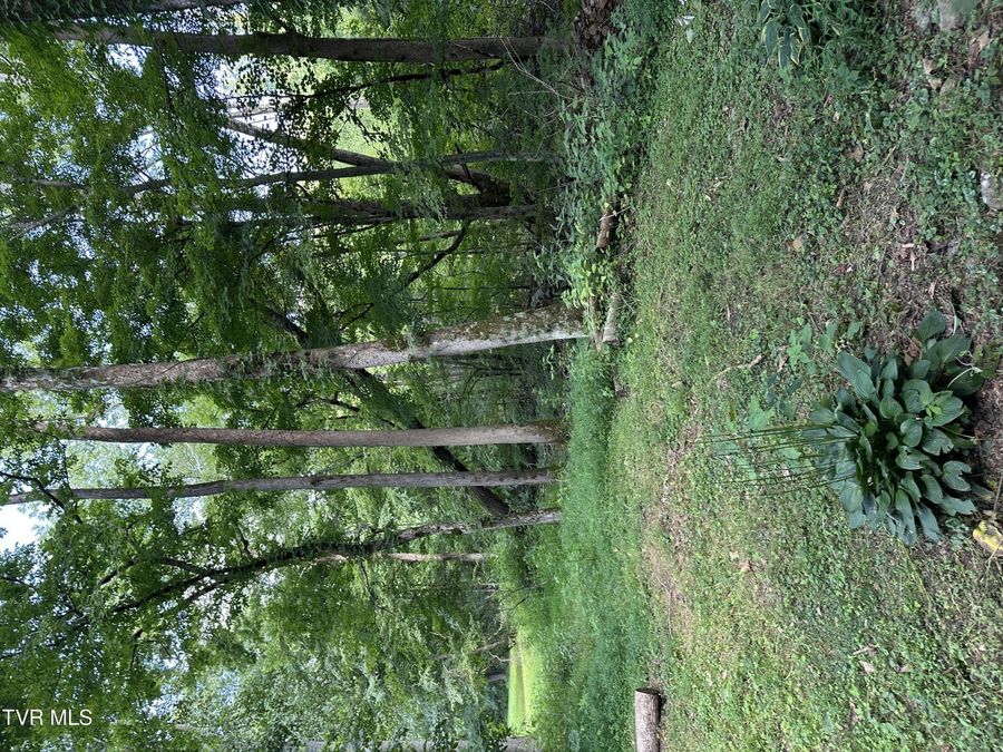 Property Image 92