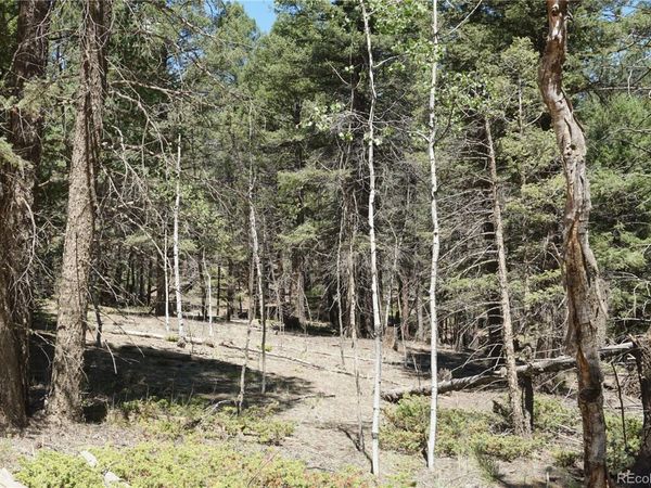 616 Indian Creek Road , Florissant, CO 80816