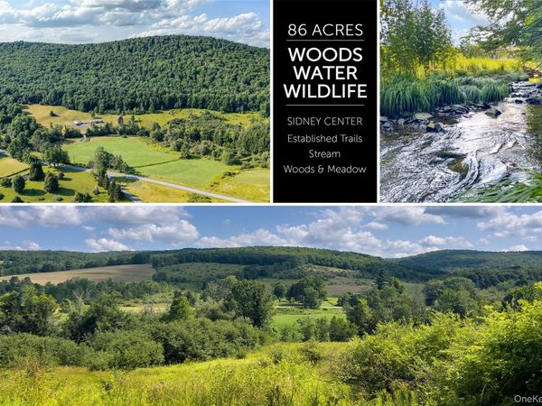 Lot #11 Franklin Depot Road , Sidney, NY 13838