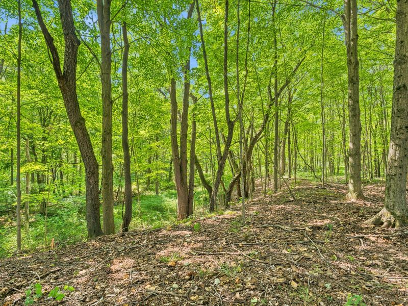 7326 State Route 19, Unit 10, Lots 7, Mount Gilead, OH 43338 Photo 55
