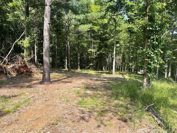 Lot 8 Tall Woods Ln, Spencer, TN 38585