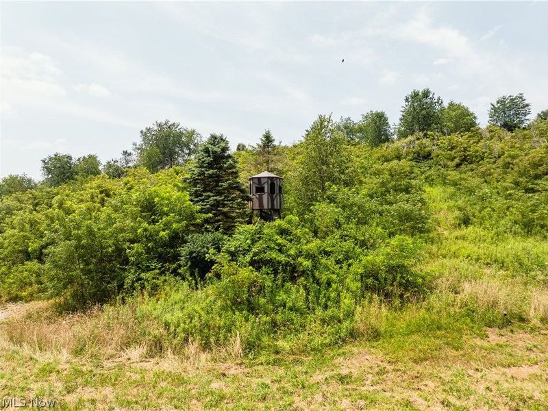 17033 Township Road 118, Kimbolton, OH 43749 Photo 12