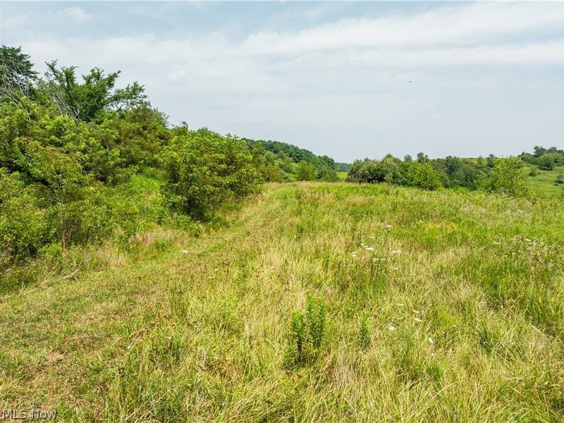 17033 Township Road 118, Kimbolton, OH 43749 Photo 16